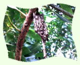 ������������������