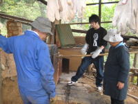 �p���̐Ί�