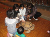 ���N�K��