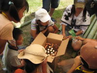 ���S�C(�|�׍H)�̐���