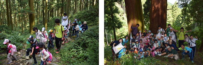 �T���T���I�`�������W�R�̂ڂ�