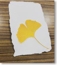 �������E�͂����Â���̊����i