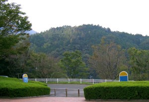 ���H�̃Z���^�[