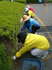 �����̓v������