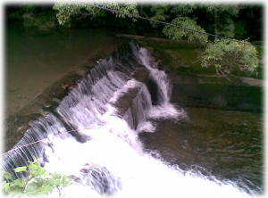 �I�̐�̗���