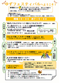 当日配布チラシ画像とPDFのリンク