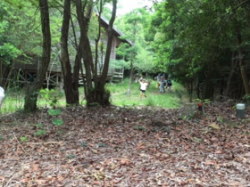 �يO�����ł̗����t�E���̗l�q