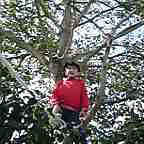 �͂��߂̈��