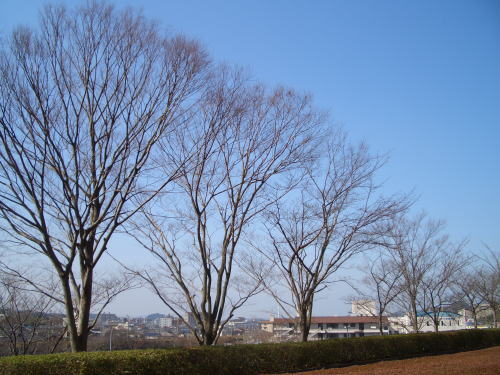 �Z���^�[�̗��t��