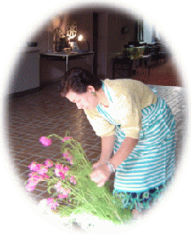 ���Ԃ̏��������锺����