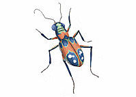 �n���~���E