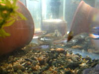 �q�i�����R