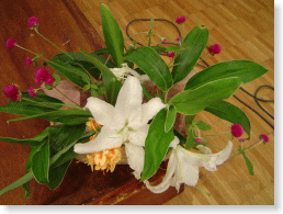 �����S��