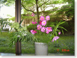 ���ӂ̃R�X���X