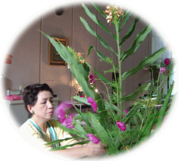 ���q�A�̔�����