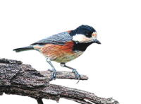 ���}�K��