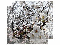 ��낵�����肢���܂��I