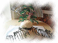 �P��̋��p����