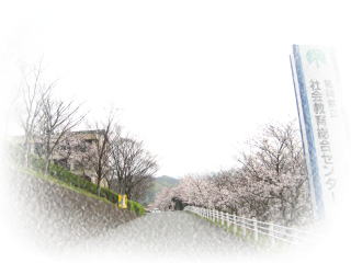 �Z���^�[����