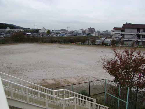 ���ǂ�����