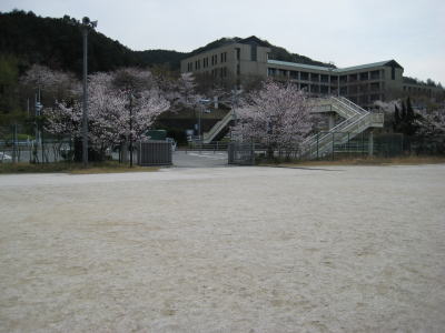 �O�����h