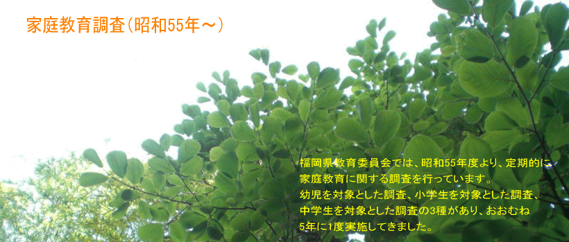 �ƒ닳�璲��