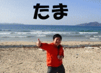 ���N�x�̎w�����̏Љ�