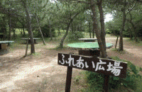 �L�����v��ł̃e���g��