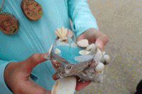 �ނȂ���495�܂�