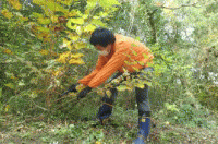 ��ƕ��i�̗l�q