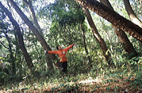 �u�I�����W�F�̂Ȃ��v�摜