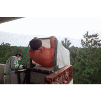 �u���h�P���v�摜