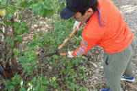 �u���ꂩ��������̂��߂ɁI�v