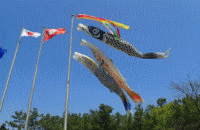 �u���C�̉Ɓv�����̂ڂ�