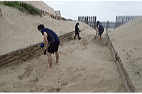 ���C�̉Ɓu�������v