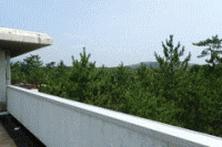 �B�ꂽ��i�X�|�b�g�摜