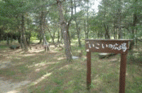 ���т̒��Ń{���_�����O�̃A�j���[�V�����摜