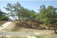 �u���C�̉Ɓv���j���[�A���A�j���[�V�����摜