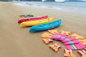 ���C�̉Ɓu�C�J���v�A�j���[�V�����摜