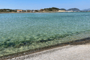 �u���C�̉Ɓv�A�j���[�V�����摜