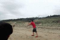 �C�J���̗l�q�̎ʐ^