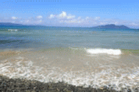 ���C�̊C�ƃV�[�O���X