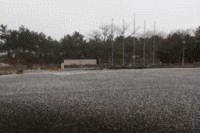 ����ꂪ�~�����u���C�̉Ɓv�̗l�q