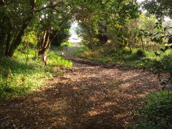 �I���G���e�[�����O