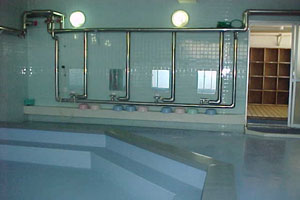 ��ʗp����