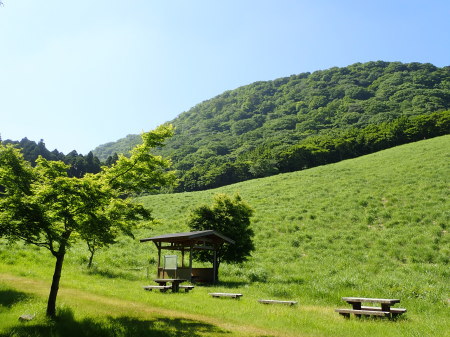 �p�F�R�N�̉ƁE����������