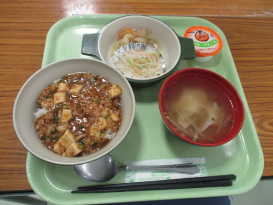 �p�F�R�N�̉ƃ}�[�{�[���̎ʐ^