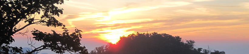 �p�F�R�̗[��