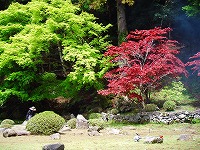 �����V��