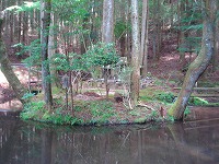 �O�����r